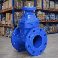 Задвижка клиновая 30ч939р DN600 PN10 фланцевая с электроприводом с невыдвижным шпинделем с обрезиненным клином