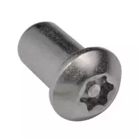 Гайка антивандальная TORX полусфера M8 x 30 с внутренней направляющей (Т40) (БЛИСТЕР - 6шт)