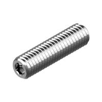 Винт установочный М6х8 нержавеющий А2, DIN916