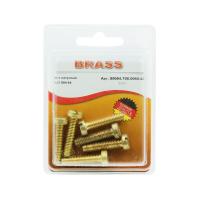 Винт цилиндрический М6х25 латунный DIN84 (Блистер - 6шт.)