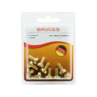 Винт цилиндрический М6х10 латунный DIN84 (Блистер - 10шт.)