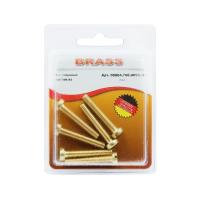 Винт цилиндрический М5х30 латунный DIN84 (Блистер - 6шт.)