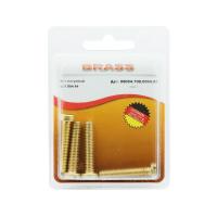 Винт цилиндрический М6х30 латунный DIN84 (Блистер - 4шт.)