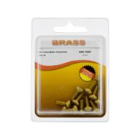 Винт полусфера М4х10 латунный DIN7985 (БЛИСТЕР - 12шт)