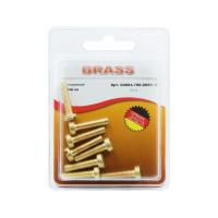 Винт цилиндрический М5х20 латунный DIN84 (Блистер - 8шт.)