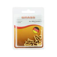 Винт цилиндрический М4х12 латунный DIN84 (Блистер - 12шт.)