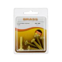 Винт полусфера М6х25 латунный DIN7985 (БЛИСТЕР - 6шт)