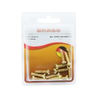 Винт цилиндрический М4х16 латунный DIN84 (Блистер - 12шт.)