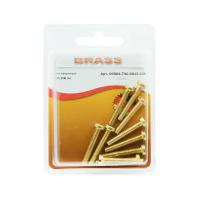 Винт цилиндрический М4х25 латунный DIN84 (Блистер - 10шт.)