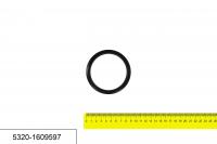 5320-1609597 манжета пневматического поршня ПГУ(пневмогидроусилителя), БРТ