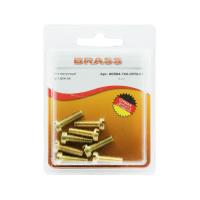 Винт цилиндрический М5х16 латунный DIN84 (Блистер - 8шт.)